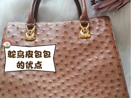爱马仕鸵鸟皮包真假鉴别(爱马仕鸵鸟皮包包图片)