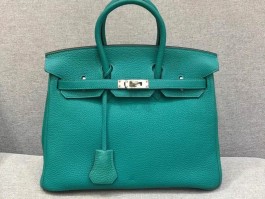 爱马仕蜥蜴皮铂金(爱马仕蜥蜴皮birkin25)
