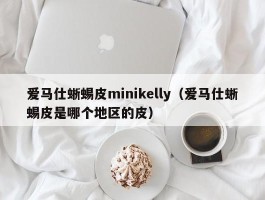 爱马仕蜥蜴皮minikelly（爱马仕蜥蜴皮是哪个地区的皮）