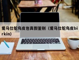 爱马仕鸵鸟皮包真假鉴别（爱马仕鸵鸟皮birkin）