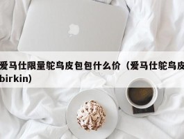 爱马仕限量鸵鸟皮包包什么价（爱马仕鸵鸟皮birkin）