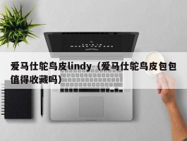 爱马仕鸵鸟皮lindy（爱马仕鸵鸟皮包包值得收藏吗）