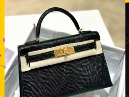 关于爱马仕蜥蜴皮birkin有哪些尺寸的信息