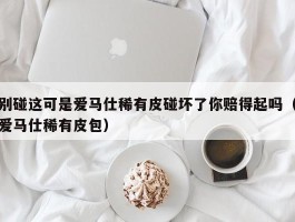 别碰这可是爱马仕稀有皮碰坏了你赔得起吗（爱马仕稀有皮包）