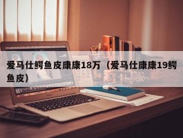 爱马仕鳄鱼皮康康18万（爱马仕康康19鳄鱼皮）
