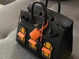 爱马仕房子包800w(爱马仕小房子限量多少个)