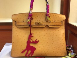 鸵鸟皮爱马仕(鸵鸟皮爱马仕birkin)