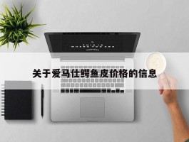 关于爱马仕鳄鱼皮价格的信息