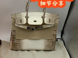 爱马仕喜马拉雅铂金包限量多少个(爱马仕喜马拉雅铂金包多少一个)