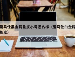 爱马仕黑金鳄鱼皮小号怎么样（爱马仕白金鳄鱼皮）