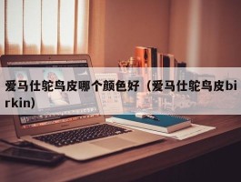 爱马仕鸵鸟皮哪个颜色好（爱马仕鸵鸟皮birkin）