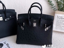 爱马仕包包ado鸵鸟皮(爱马仕限量鸵鸟皮包包什么价)