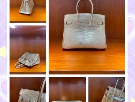 爱马仕蜥蜴皮birkin25(爱马仕蜥蜴皮birkin25原花红色)