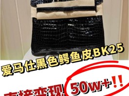 爱马仕鳄鱼价格(爱马仕鳄鱼皮铂金包价格)
