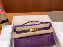 爱马仕lv蜥蜴皮(爱马仕蜥蜴皮包价位)