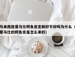 马来西亚爱马仕鳄鱼皮定制好不好吗为什么（爱马仕的鳄鱼皮是怎么来的）