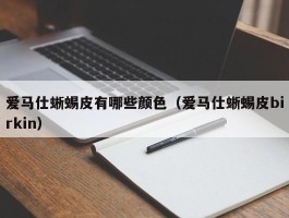 爱马仕蜥蜴皮有哪些颜色（爱马仕蜥蜴皮birkin）