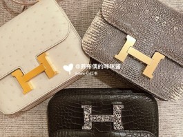 爱马仕专柜蜥蜴皮怎么样(爱马仕蜥蜴皮 mini kelly)