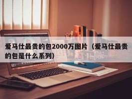 爱马仕最贵的包2000万图片（爱马仕最贵的包是什么系列）