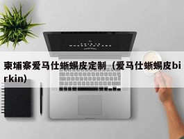 柬埔寨爱马仕蜥蜴皮定制（爱马仕蜥蜴皮birkin）