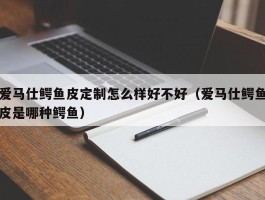 爱马仕鳄鱼皮定制怎么样好不好（爱马仕鳄鱼皮是哪种鳄鱼）