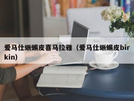 爱马仕蜥蜴皮喜马拉雅（爱马仕蜥蜴皮birkin）