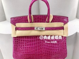 爱马仕鲨鱼皮包(爱马仕包鳄鱼皮价钱)