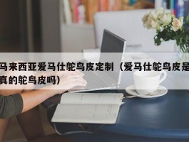 马来西亚爱马仕鸵鸟皮定制（爱马仕鸵鸟皮是真的鸵鸟皮吗）