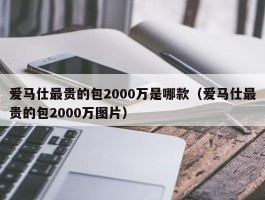 爱马仕最贵的包2000万是哪款（爱马仕最贵的包2000万图片）