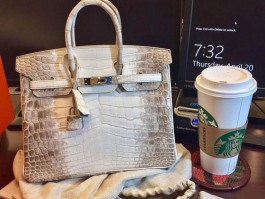 关于爱马仕birkin喜马拉雅钻扣包的信息