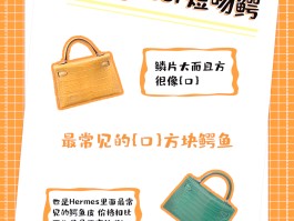 爱马仕鳄鱼皮报价(爱马仕鳄鱼皮专柜价)