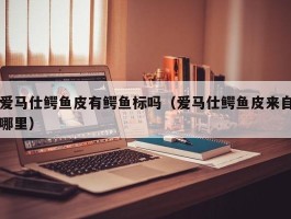 爱马仕鳄鱼皮有鳄鱼标吗（爱马仕鳄鱼皮来自哪里）