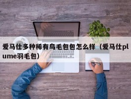 爱马仕多种稀有鸟毛包包怎么样（爱马仕plume羽毛包）