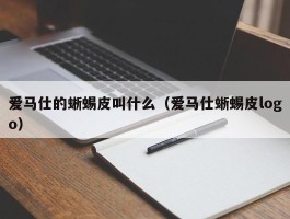 爱马仕的蜥蜴皮叫什么（爱马仕蜥蜴皮logo）