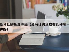 爱马仕鳄鱼皮等级（爱马仕鳄鱼皮有几种哪一种好）
