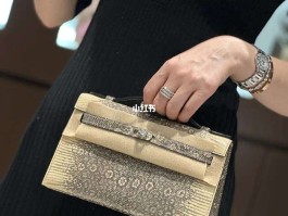 爱马仕沙色蜥蜴奢侈品包(爱马仕蜥蜴皮是哪个地区的皮)