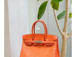 爱马仕birkin30鳄鱼皮雾面的简单介绍