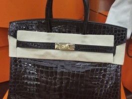 爱马仕黑金鳄鱼皮小号怎么样好不好(爱马仕鳄鱼皮25黑色金扣birkin)