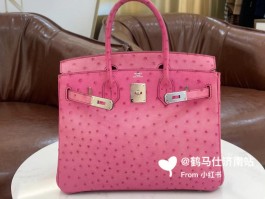 爱马仕驼鸟皮包包介绍(爱马仕鸵鸟皮birkin)