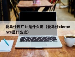 爱马仕原厂tc是什么皮（爱马仕clemence是什么皮）