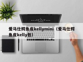 爱马仕鳄鱼皮kellymini（爱马仕鳄鱼皮kelly包）