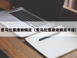 爱马仕康康蜥蜴皮（爱马仕康康蜥蜴皮手提）