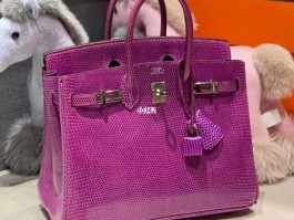 爱马仕蜥蜴皮原色(爱马仕蜥蜴皮 mini kelly)