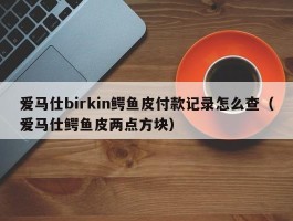 爱马仕birkin鳄鱼皮付款记录怎么查（爱马仕鳄鱼皮两点方块）