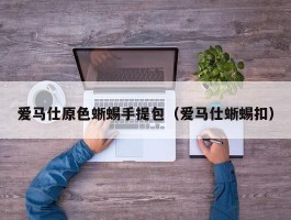 爱马仕原色蜥蜴手提包（爱马仕蜥蜴扣）