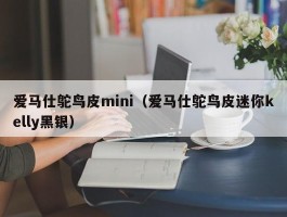 爱马仕鸵鸟皮mini（爱马仕鸵鸟皮迷你kelly黑银）