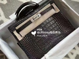 爱马仕黑银鳄鱼(爱马仕鳄鱼皮银扣)