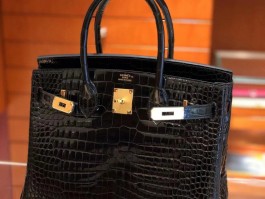 爱马仕黑金鳄鱼皮小号是什么(爱马仕鳄鱼皮25黑色金扣birkin)