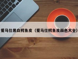 爱马仕黑白鳄鱼皮（爱马仕鳄鱼皮颜色大全）