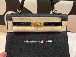 爱马仕蜥蜴皮包包定制(爱马仕蜥蜴皮是哪里的皮)